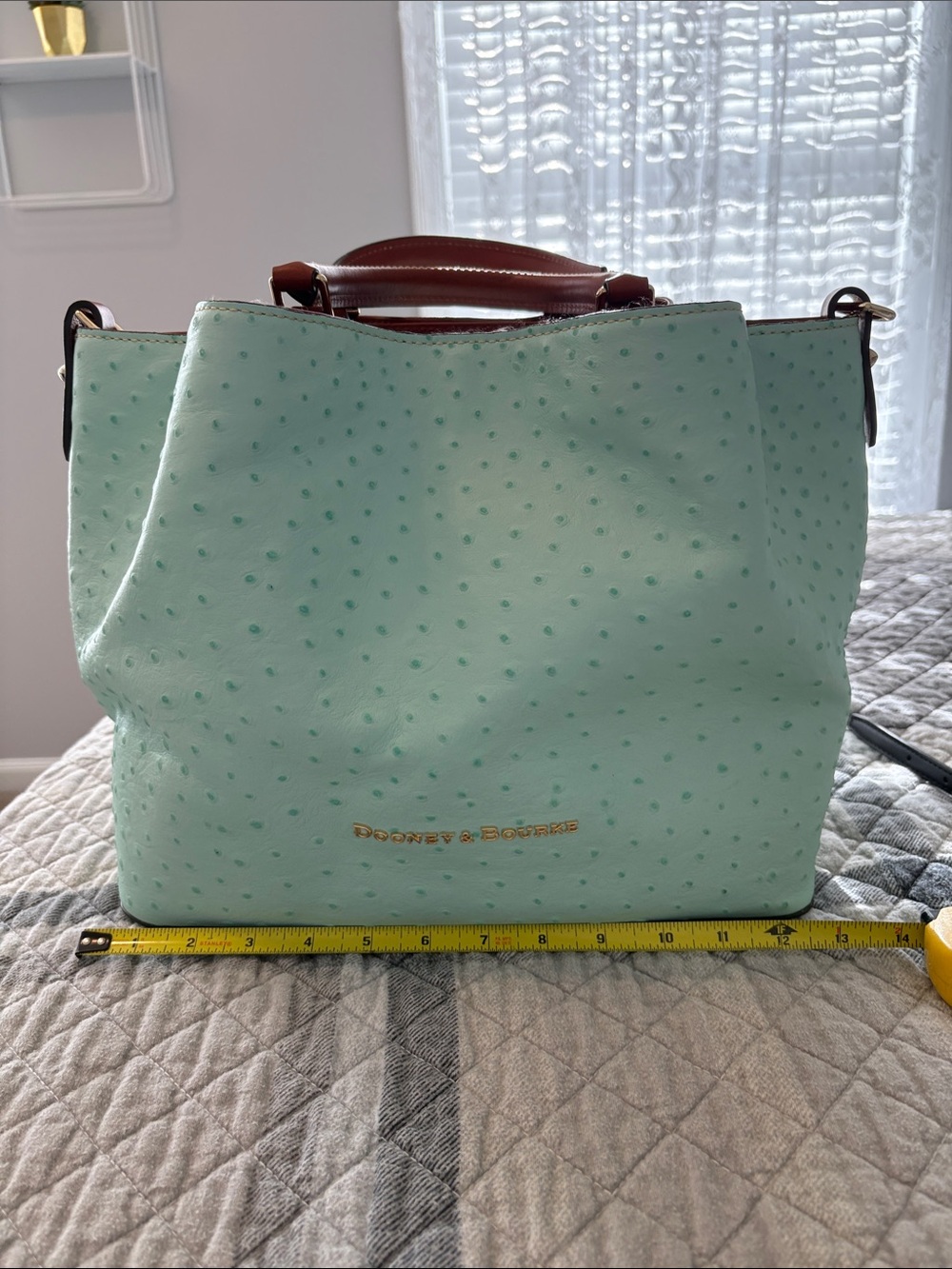 Dooney & Bourke Mint Tote with Brown Handles